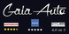 Logo Gaia Auto Italia Srl
